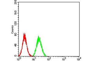 Flow cytometric analysis of Hela cells using IghA1 mouse mAb (green) and negative control (red). (IGHA1 antibody  (AA 207-353))