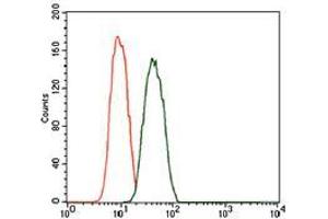 Flow cytometric analysis of A549 cells using PDE1B mouse mAb (green) and negative control (red). (PDE1B antibody  (AA 370-536))