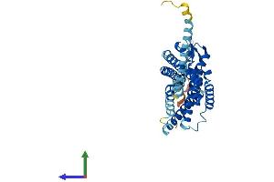 Protein Structure (PS) image for Purinergic Receptor P2Y, G-Protein Coupled, 1 (P2RY1) (AA 1-373) protein (His tag) (ABIN7550334)