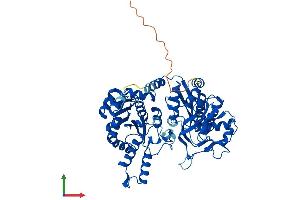 AlphaFold protein structure predicition of Mouse Recombinant Ctps2 Protein, UniprotID P70303