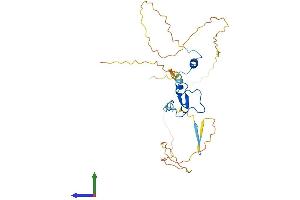 Protein Structure (PS) image for PHD Finger Protein 13 (PHF13) (AA 1-300) protein (His tag) (ABIN7550730)