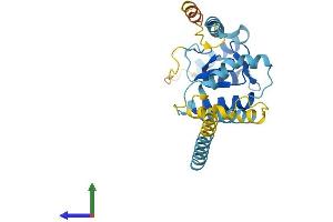 AlphaFold protein structure predicition of Human Recombinant RNF170 Protein, UniprotID Q96K19