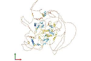 AlphaFold protein structure predicition of Human Recombinant EIF4ENIF1 Protein, UniprotID Q9NRA8 (EIF4ENIF1 Protein (AA 1-985) (His tag))