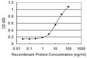 Detection limit for recombinant GST tagged PQBP1 is 0. (PQBP1 antibody  (AA 184-265))