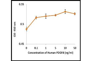 Activity Assay (AcA) image for Platelet Derived Growth Factor Subunit B (PDGFB) (Active) protein (ABIN5509325) (PDGFB Protein)
