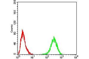 Flow Cytometry (FACS) image for anti-TH (AA 44-208) antibody (ABIN5858376) (TH antibody  (AA 44-208))