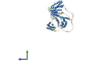 Protein Structure (PS) image for Huntingtin Interacting Protein 1 Related (HIP1R) (AA 1-1068) protein (His tag) (ABIN7565111)