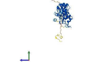 Protein Structure (PS) image for Nuclear Factor of kappa Light Polypeptide Gene Enhancer in B-Cells Inhibitor, alpha (NFKBIA) (AA 1-314) protein (His tag) (ABIN7556380)