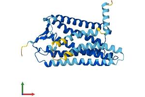 AlphaFold protein structure predicition of Human Recombinant OR10G4 Protein, UniprotID Q8NGN3 (OR10G4 Protein (AA 1-311) (His tag))