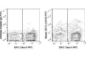 C57Bl/6 splenocytes were stained with APC Anti-Mouse MHC Class II (ABIN6961377) and 0. (CD11c antibody  (FITC))