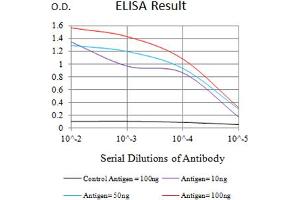 Black line: Control Antigen (100 ng),Purple line: Antigen (10 ng), Blue line: Antigen (50 ng), Red line:Antigen (100 ng) (CD83 antibody  (AA 20-144))