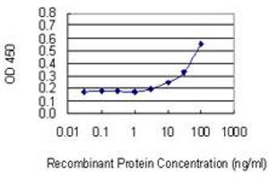 Detection limit for recombinant GST tagged VNN3 is 3 ng/ml as a capture antibody. (VNN3 antibody  (AA 175-274))
