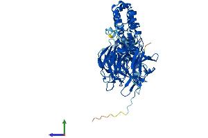 AlphaFold protein structure predicition of Human Recombinant KLHL18 Protein, UniprotID O94889