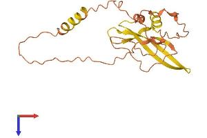 AlphaFold protein structure predicition of Human Recombinant ATXN8OS Protein, UniprotID P0DMR3 (ATXN8OS Protein (AA 1-200) (His tag))
