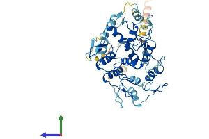 Protein Structure (PS) image for Zinc Finger Protein 260 (ZNF260) (AA 1-412) protein (His tag) (ABIN7545541)