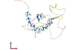 AlphaFold protein structure predicition of Human Recombinant ABLIM2 Protein, UniprotID Q6H8Q1