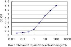 Detection limit for recombinant GST tagged NDE1 is approximately 0. (NDE1 antibody  (AA 1-335))