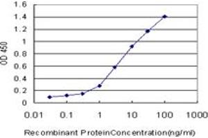 Detection limit for recombinant GST tagged NDE1 is approximately 0. (NDE1 antibody  (AA 1-335))