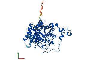 AlphaFold protein structure predicition of Human Recombinant BHMT2 Protein, UniprotID Q9H2M3 (BHMT2 Protein (AA 1-363) (His tag))