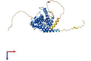 Cyclin E1 Protein (CCNE1) (AA 1-410) (His tag)