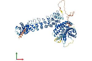AlphaFold protein structure predicition of Human Recombinant PLA2G6 Protein, UniprotID O60733 (PLA2G6 Protein (AA 1-806) (His tag))