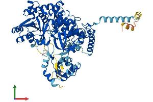 AlphaFold protein structure predicition of Human Recombinant ACSL1 Protein, UniprotID P33121 (ACSL1 Protein (AA 1-698) (His tag))