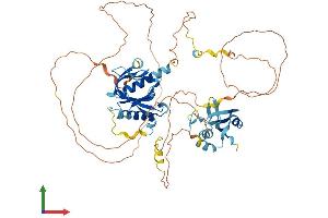 Protein Structure (PS) image for SHC (Src Homology 2 Domain Containing) Transforming Protein 3 (SHC3) (AA 1-594) protein (His tag) (ABIN7546169)