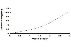 Typical standard curve (C3a ELISA Kit)