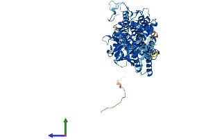 AlphaFold protein structure predicition of Human Recombinant POMT2 Protein, UniprotID Q9UKY4 (POMT2 Protein (AA 1-750) (His tag))