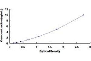 DAPK3 ELISA Kit