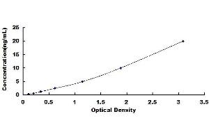 Typical standard curve (ABCD1 ELISA Kit)