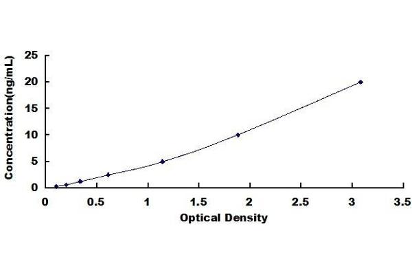 ABCD1 ELISA Kit