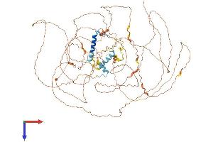 AlphaFold protein structure predicition of Mouse Recombinant Gm5592 Protein, UniprotID Q3V0A6 (GM5592 Protein (AA 1-857) (His tag))