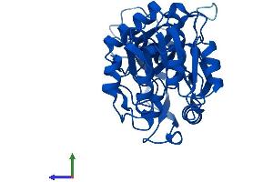 Protein Structure (PS) image for Tumor Protein P53 Inducible Protein 3 (TP53I3) (AA 1-332) protein (His tag) (ABIN7551169)