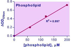 Biochemical Assay (BCA) image for Phospholipd Assay Kit (ABIN1000327) (Phospholipd Assay Kit)