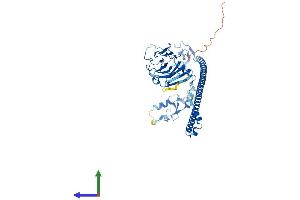 Protein Structure (PS) image for Tripartite Motif Containing 58 (TRIM58) (AA 1-486) protein (His tag) (ABIN7544720)