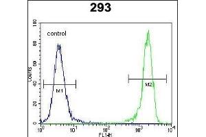 DDIT3 Antibody (C-term ) (ABIN655895 and ABIN2845295) flow cytometric analysis of 293 cells (right histogram) compared to a negative control cell (left histogram). (DDIT3 antibody  (C-Term))