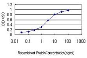 Detection limit for recombinant GST tagged KCNE4 is approximately 0.