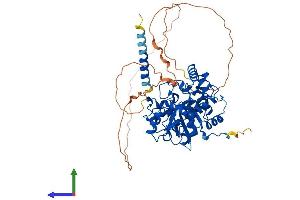 AlphaFold protein structure predicition of Human Recombinant ST6GAL2 Protein, UniprotID Q96JF0