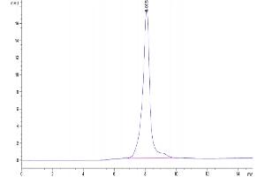 The purity of Human CA9 is greater than 95 % as determined by SEC-HPLC. (CA9 Protein (AA 38-414) (His-Avi Tag))