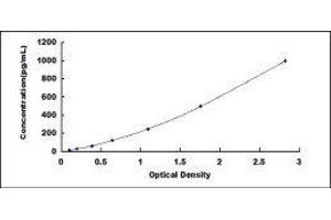 ELISA image for Tumor Necrosis Factor alpha (TNF alpha) ELISA Kit (ABIN6574141)