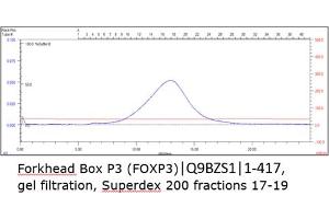 Size-exclusion chromatography-High Pressure Liquid Chromatography (SEC-HPLC) image for Forkhead Box P3 (FOXP3) (AA 1-417) protein (His tag) (ABIN3092613) (FOXP3 Protein (AA 1-417) (His tag))