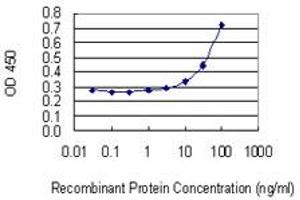 Detection limit for recombinant GST tagged PMVK is 3 ng/ml as a capture antibody. (PMVK antibody  (AA 1-192))