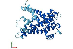 AlphaFold protein structure predicition of Human Recombinant SLC25A6 Protein, UniprotID P12236