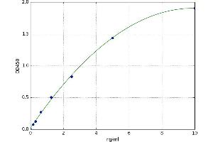 Bone Morphogenetic Protein 1 (BMP1) ELISA Kit