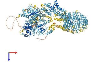 NLR Family, Apoptosis Inhibitory Protein 7 (NAIP7) (AA 1-1402) protein (His tag)