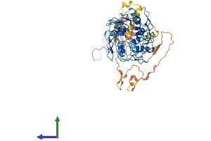 AlphaFold protein structure predicition of Human Recombinant ZNF77 Protein, UniprotID Q15935