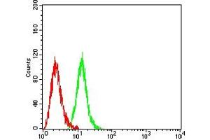 Flow cytometric analysis of Hela cells using CAPN1 mouse mAb (green) and negative control (red). (CAPNL1 antibody  (AA 501-714))