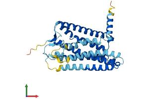 AlphaFold protein structure predicition of Human Recombinant OR14A2 Protein, UniprotID Q96R54 (OR14A2 Protein (AA 1-314) (His tag))