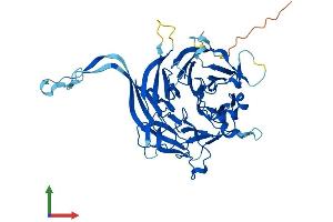 AlphaFold protein structure predicition of Human Recombinant PPP2R2D Protein, UniprotID Q66LE6